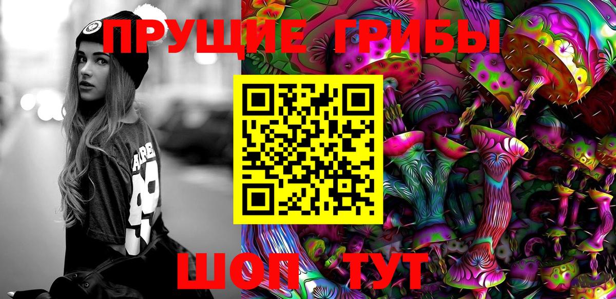 Балтийск  цены наркотик  Галлюциногенные грибы MAGIC MUSHROOMS  Вход с VPN  Галлюциногенные грибы GOLDEN TEACHER 