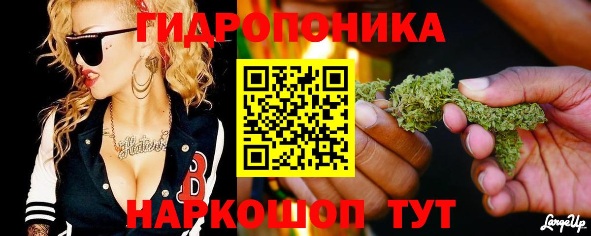 Марихуана Amnesia  Вход с VPN  Конопля LSD WEED  Балтийск  МАРИХУАНА план  Шишки марихуана LSD WEED 